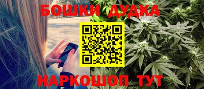 индика Заводоуковск