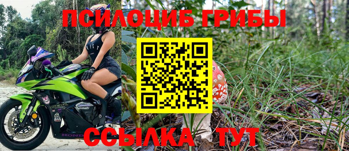 Галлюциногенные грибы Cubensis Минеральные Воды